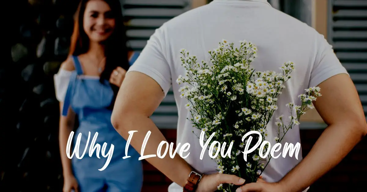 Why I Love You Poem