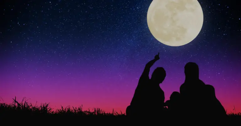 Moonlit Skies